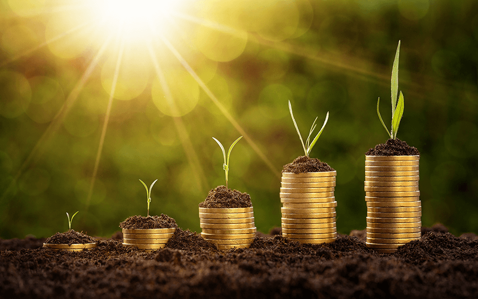 Gold coins stacked with plants sprouting from the top of each stack, demonstrating investment and wealth growth.